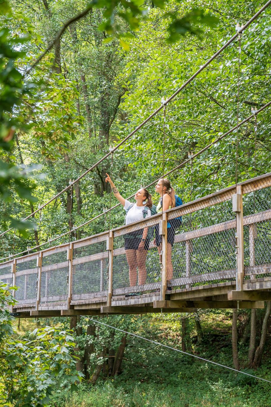 Eine junge Frau zeigt  einem Mädchen etwas in den Bäumen. Die beiden stehen auf der neu errichteten Hängebrücke am Einsiedler